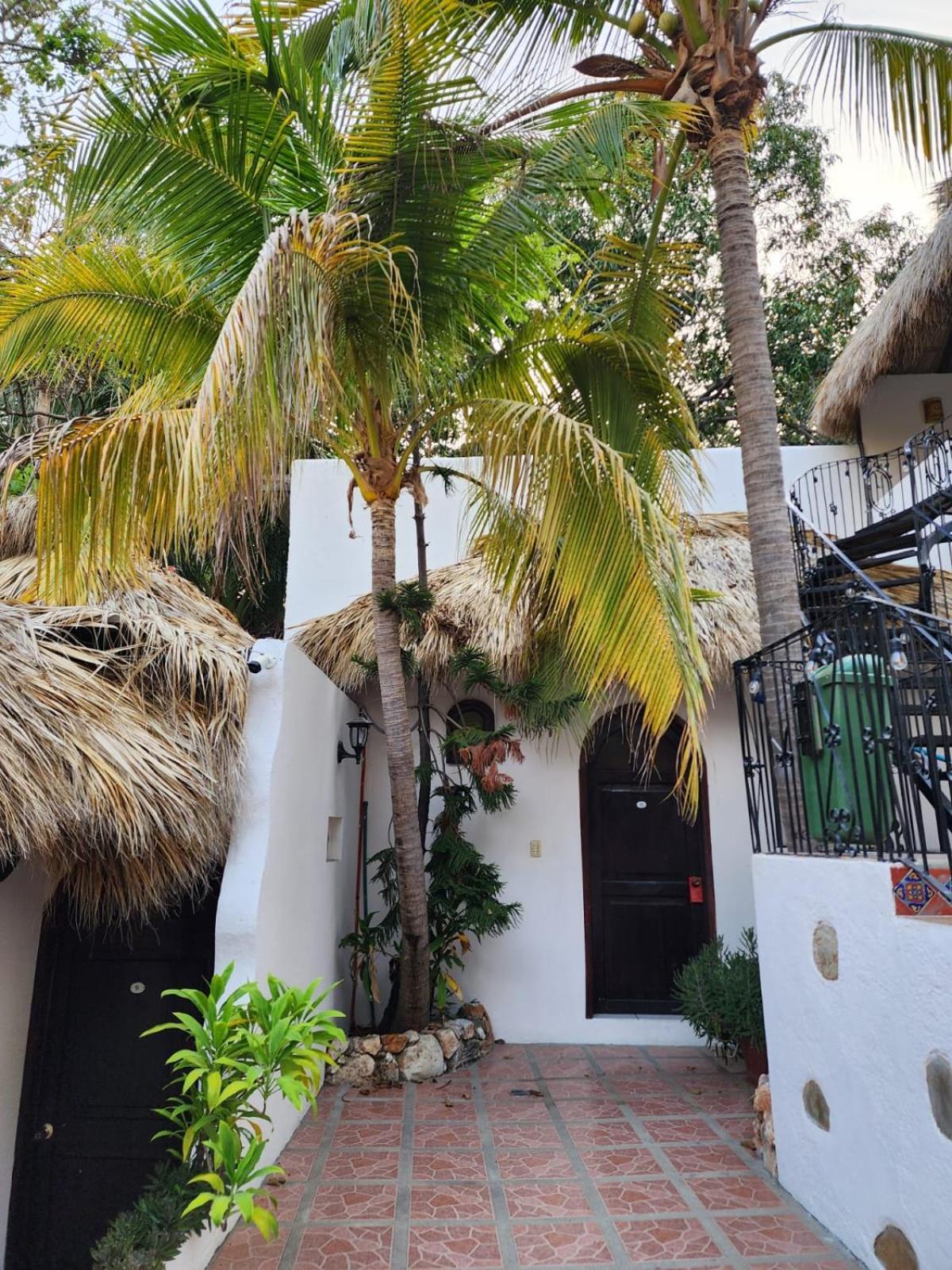 Готель Esencia Puerto Escondido Пуерто-Ескондідо Екстер'єр фото